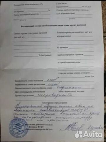 Овёс чищенный семянной купить на Зозу.ру - фотография № 2