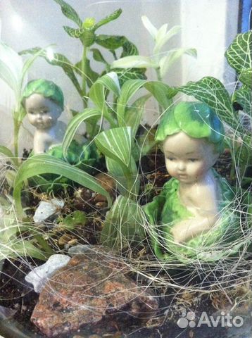 Флорариумы разных размеров