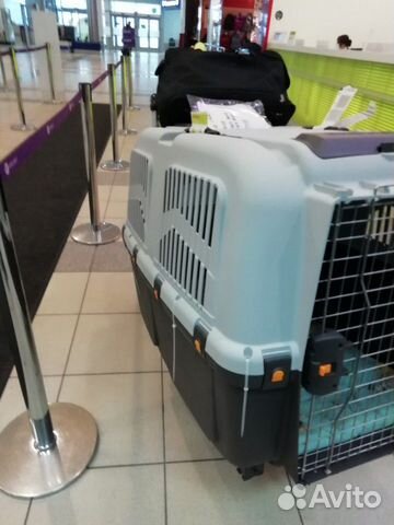 Клетка для перевозки собаки в самолете купить на Зозу.ру - фотография № 2