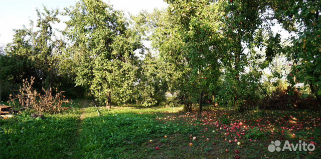 Участок 46 сот. (ИЖС) Участок 46 сот. (ИЖС)