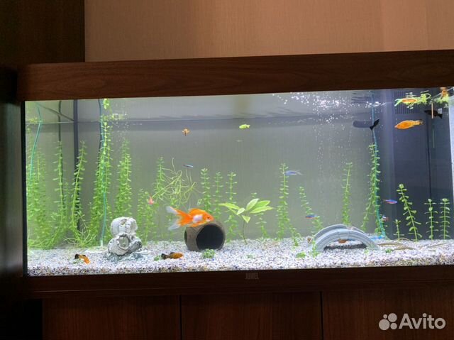 Аквариум Juwel Rio 180 LED Аквариум Juwel Rio 180 LED