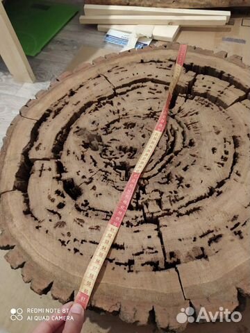 Сухой спил дуба Сухой спил дуба