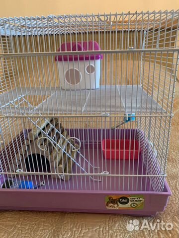 Клетка для грызунов Клетка для грызунов