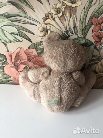 Бурый медведь