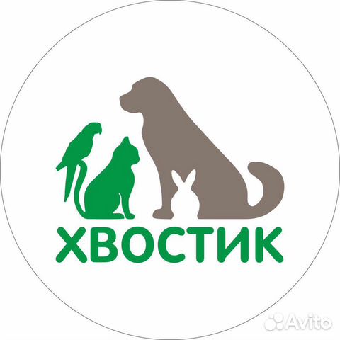 Хвост Зоомагазин Ижевск Интернет Магазин Каталог