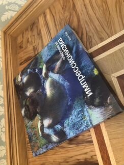 Книга Импрессионизм: сокровища (Джон Кер)