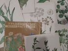 Травянистые растения- открытки СССР