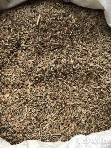 Люцерна в кормовой смеси