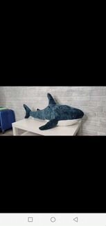 Новая Акула