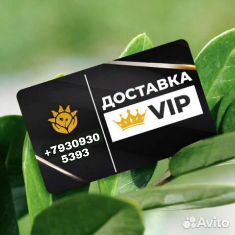 Vip доставка. 1вип. Доставка VIP Mercury.