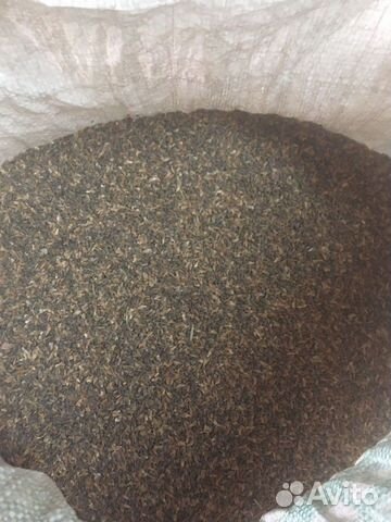 Еловое семя - корм Клестам, всем зерноядным птицам