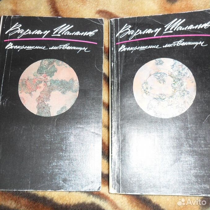 Шаламов воскрешение лиственницы. Шаламов воскрешение лиственницы обложка. Шаламов воскрешение лиственницы обложка. Шаламов воскрешение лиственницы обложка. Художественные средства воскрешение лиственницы.
