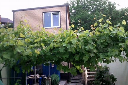 Дом 40 м² на участке 5 сот.