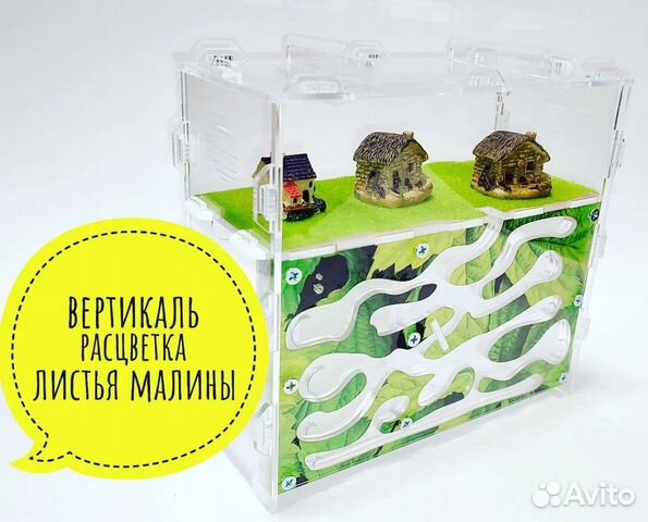 Муравьиная ферма новая