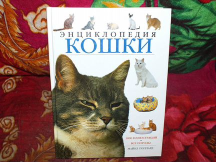 Советы по ремонту и уходу за легковым автомобилем
