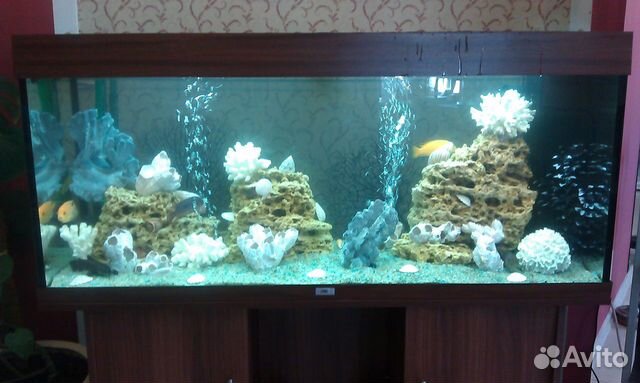 Обслуживание аквариумов