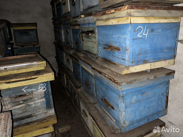 Ульи для пчел бу