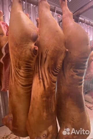 Свинина опаленная Воронеж, сало,салонина, говядина