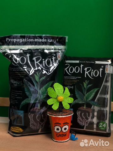 GT Root Riot кубик для укоренения 1 шт