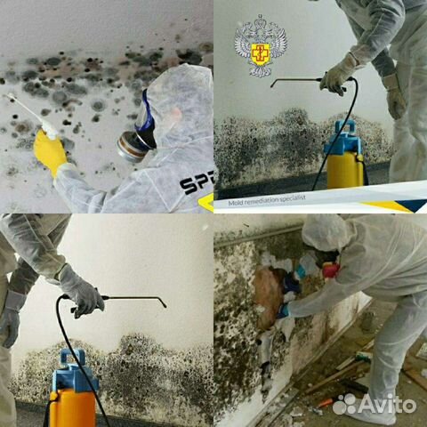 Удаление плесени, запахов