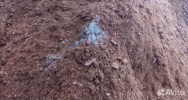 Навоз конский в мешках и валом