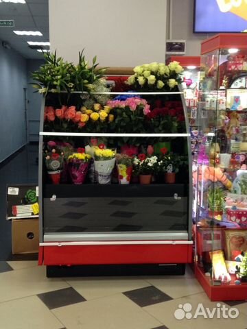 Купить холодильник для цветов в иркутске цветы теплый стан доставка