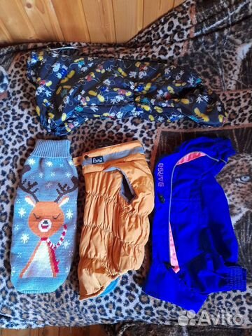 Одежда для собак