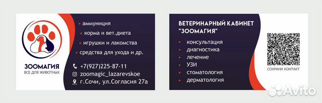 Ветеринарный врач