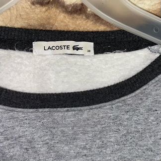 Свитшот Lacoste