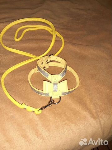 Шлейка с поводком для собаки