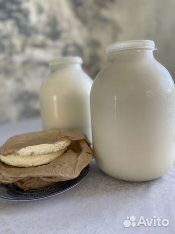 Козье молоко домашнее