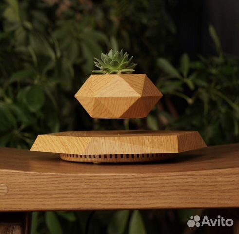 Леплант (летающий горшок)