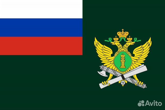 Юрист, работа с фссп, уфмс, суды общей юрисдикции