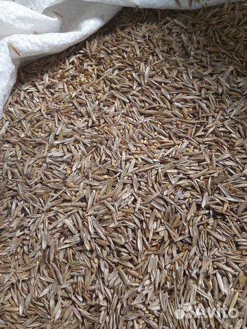 Злако-бобовые травосмеси семян