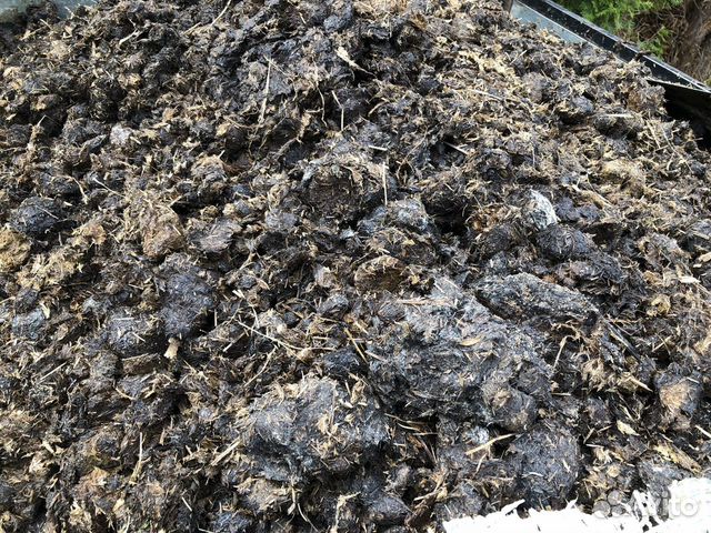 Отборный конский навоз с доставкой