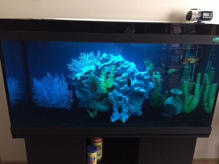 Обслуживание, чистка аквариумов по Москве И обл