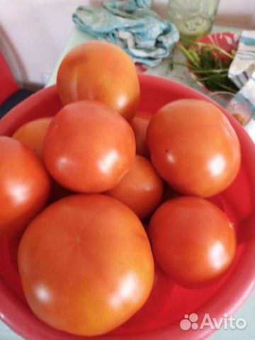 Помидоры. свежие. домашние