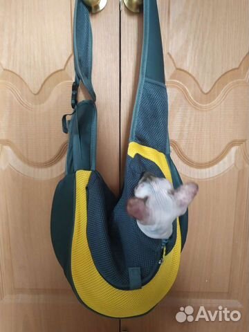 Переноска для животных