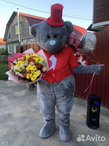 Поздравление от мишки аниматор на праздник