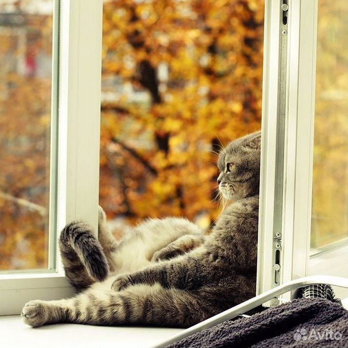 Девушка ждет весну. А я так жду тепла и солнца. Хочется солнышка и тепла. Хорошего настроения. Хочу солнце.