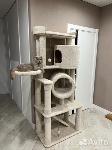 Когтеточка