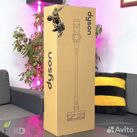 Пылесос Dyson V8 Extra (2022) Новый RU