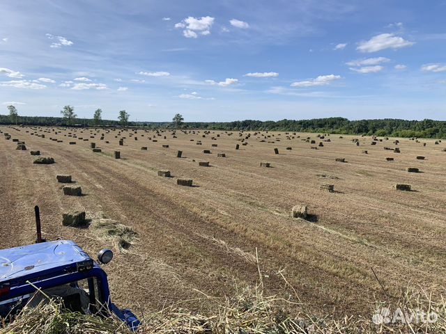 Солома в тюках