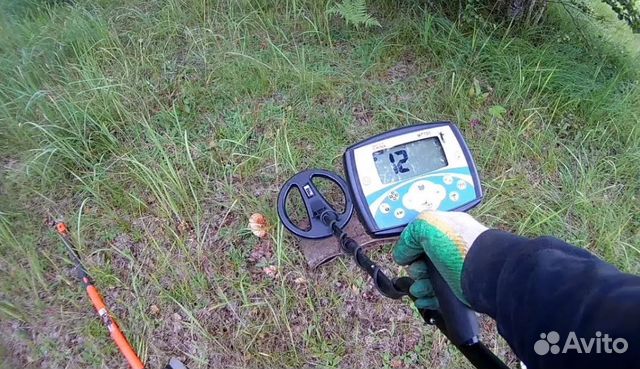 Прокат, аренда Металлоискателя мт 705