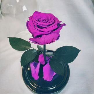 Роза в колбе