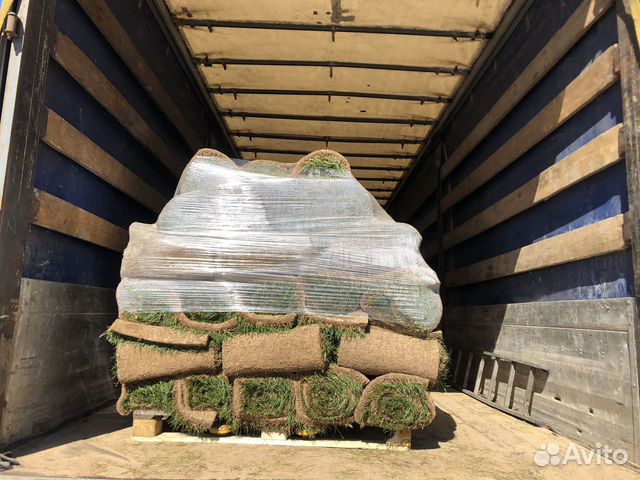 Рулонный газон