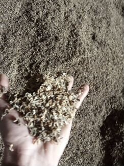 Жом свекловичный, яблочный в стружке и грануле