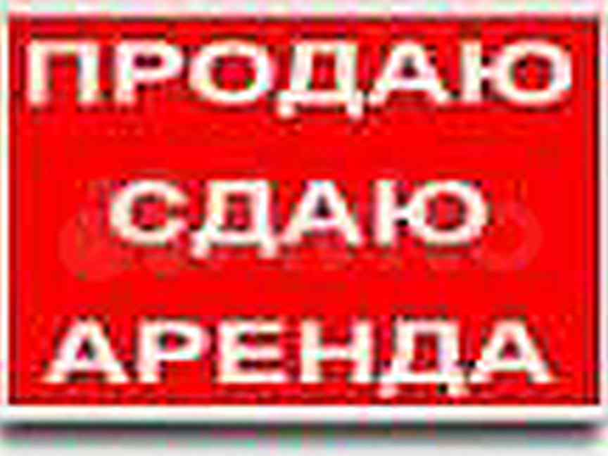 Как правильно сдам или здам. Табличка сдается в аренду. Разнорабочие демонтаж землекопы. Землекопы разнорабочие. Объявления услуги ЗЕМЛЕКОПОВ.