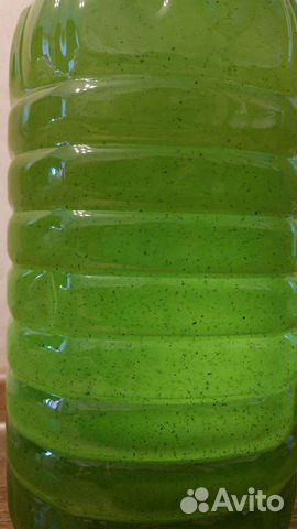 Живая суспензия хлореллы