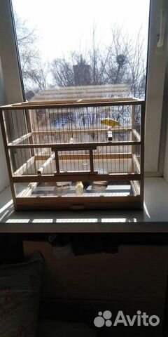 Клетки для морской свинки, канареек, амадин